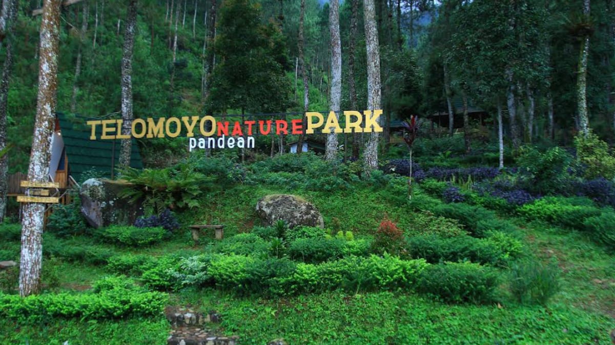 Telomoyo Nature Park: Petualangan Alam yang Memikat